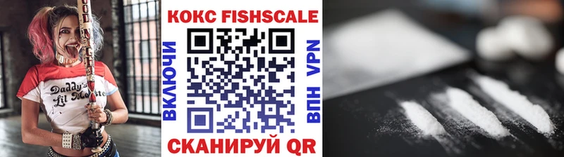 закладка  mega tor  Cocaine 98%  Кингисепп 