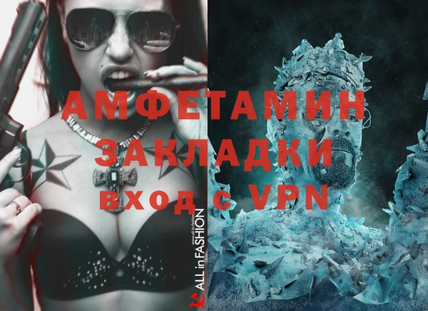 индика Верхний Тагил
