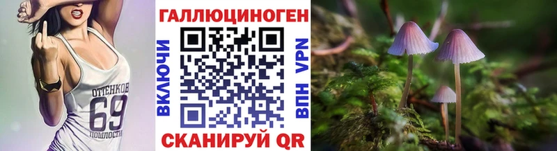 Галлюциногенные грибы MAGIC MUSHROOMS  Кингисепп 
